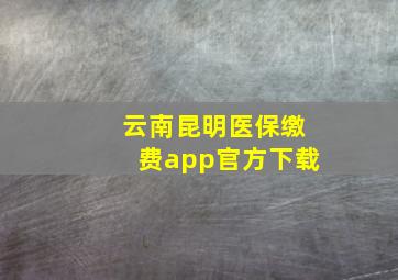 云南昆明医保缴费app官方下载