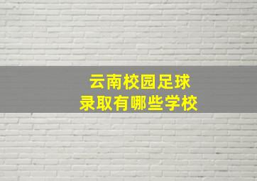 云南校园足球录取有哪些学校