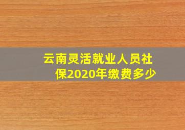 云南灵活就业人员社保2020年缴费多少