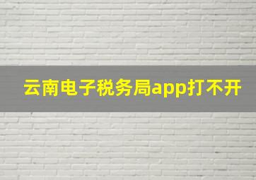 云南电子税务局app打不开