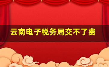 云南电子税务局交不了费