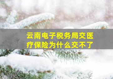 云南电子税务局交医疗保险为什么交不了