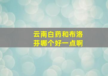 云南白药和布洛芬哪个好一点啊