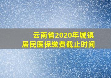 云南省2020年城镇居民医保缴费截止时间