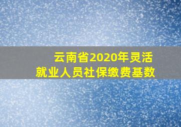 云南省2020年灵活就业人员社保缴费基数