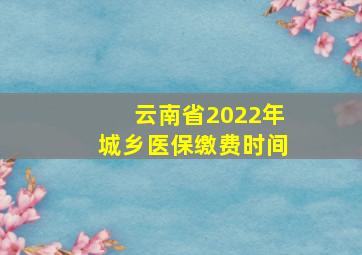 云南省2022年城乡医保缴费时间