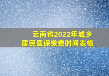 云南省2022年城乡居民医保缴费时间表格