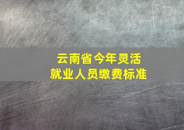 云南省今年灵活就业人员缴费标准