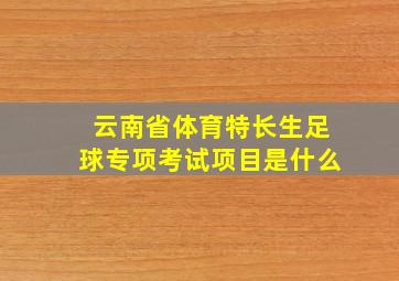 云南省体育特长生足球专项考试项目是什么