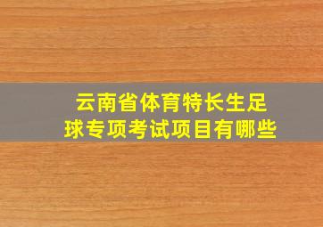 云南省体育特长生足球专项考试项目有哪些