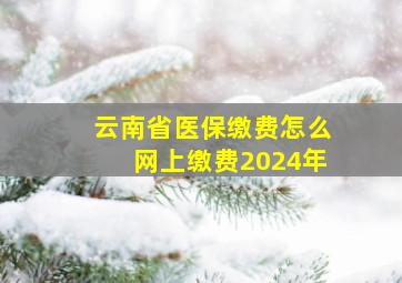 云南省医保缴费怎么网上缴费2024年