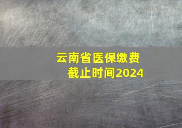 云南省医保缴费截止时间2024