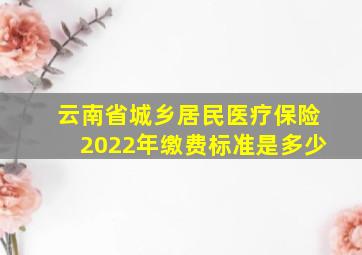 云南省城乡居民医疗保险2022年缴费标准是多少