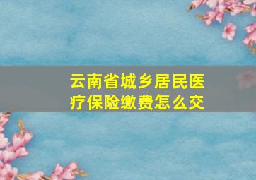 云南省城乡居民医疗保险缴费怎么交