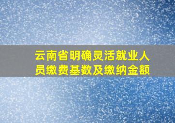 云南省明确灵活就业人员缴费基数及缴纳金额