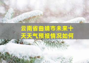 云南省曲靖市未来十天天气预报情况如何