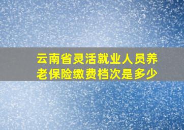 云南省灵活就业人员养老保险缴费档次是多少