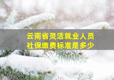 云南省灵活就业人员社保缴费标准是多少