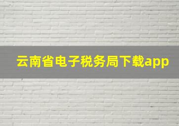 云南省电子税务局下载app