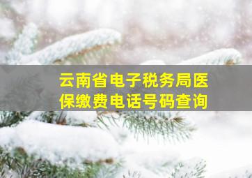 云南省电子税务局医保缴费电话号码查询