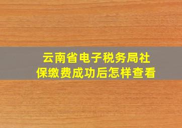 云南省电子税务局社保缴费成功后怎样查看