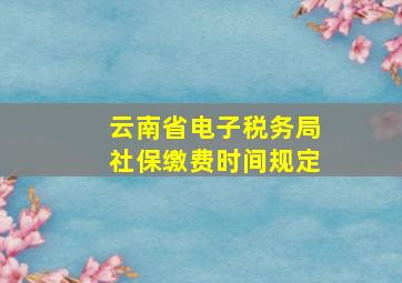 云南省电子税务局社保缴费时间规定