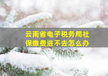 云南省电子税务局社保缴费进不去怎么办