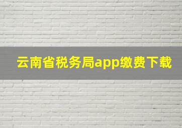 云南省税务局app缴费下载