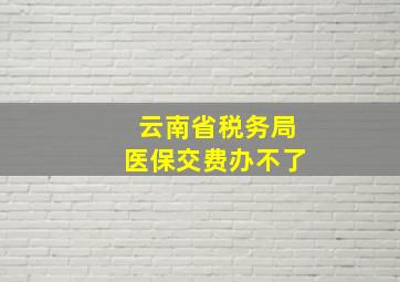 云南省税务局医保交费办不了