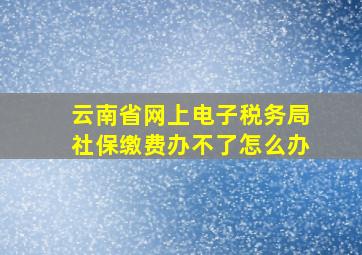 云南省网上电子税务局社保缴费办不了怎么办