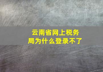 云南省网上税务局为什么登录不了