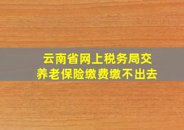 云南省网上税务局交养老保险缴费缴不出去