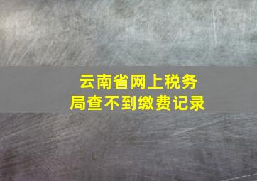 云南省网上税务局查不到缴费记录