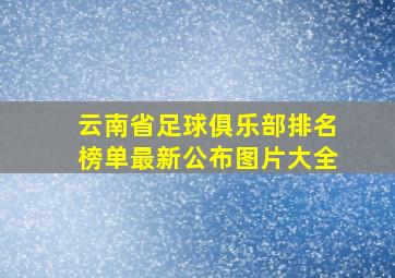 云南省足球俱乐部排名榜单最新公布图片大全