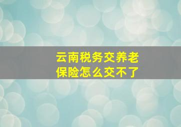 云南税务交养老保险怎么交不了