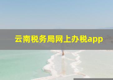 云南税务局网上办税app