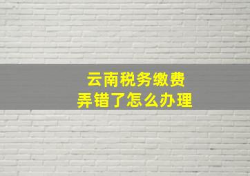 云南税务缴费弄错了怎么办理