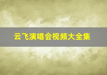 云飞演唱会视频大全集