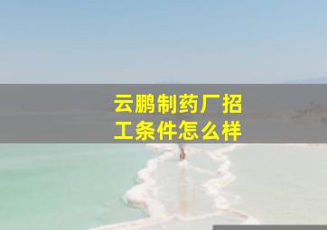 云鹏制药厂招工条件怎么样