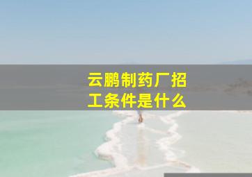 云鹏制药厂招工条件是什么