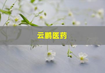 云鹏医药