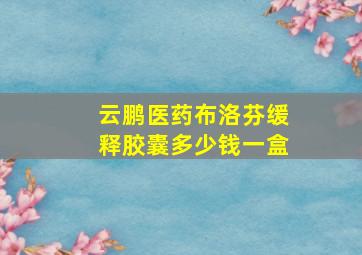 云鹏医药布洛芬缓释胶囊多少钱一盒