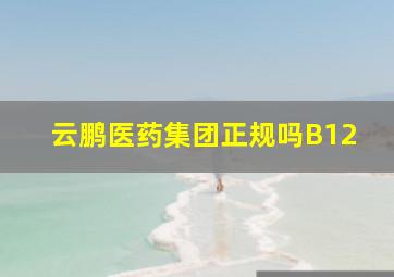 云鹏医药集团正规吗B12