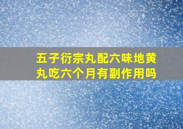 五子衍宗丸配六味地黄丸吃六个月有副作用吗