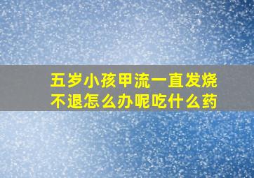 五岁小孩甲流一直发烧不退怎么办呢吃什么药