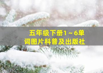 五年级下册1～6单词图片科普及出版社