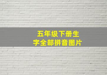 五年级下册生字全部拼音图片