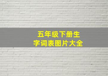 五年级下册生字词表图片大全