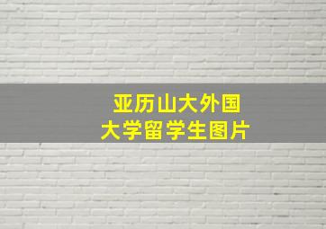 亚历山大外国大学留学生图片