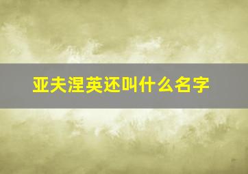 亚夫涅英还叫什么名字